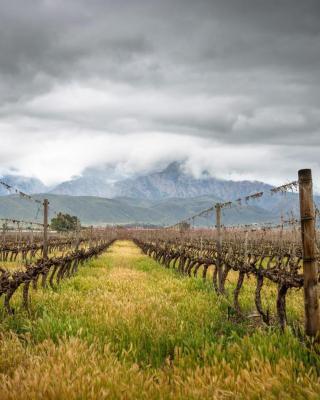 In De Vines - Chenin - Farmstay