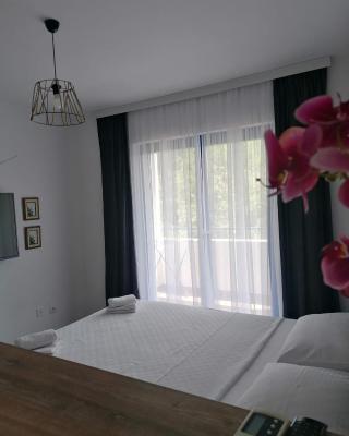 Apartmani Pasara