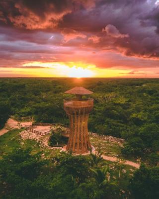 Destino Mío Mayan Jungle Retreat
