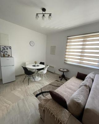 Apartman Gakić 1