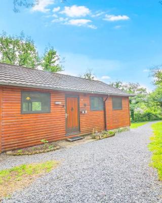 Chalet Au Petit Bonheur near Somme-Leuze with a fireplace