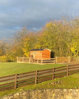 The Snug at Coed Y Gaer