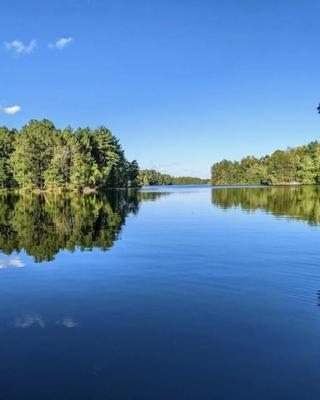 Red Tree Resort LLC