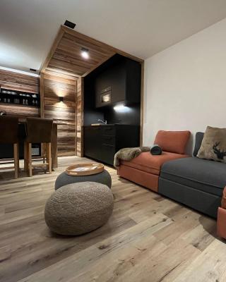 Les Cerfs - Appartement & Studio - ANZERE