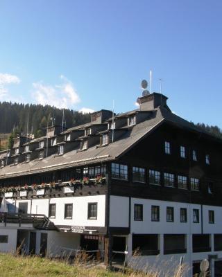 马西乌斯阿尔卑斯酒店