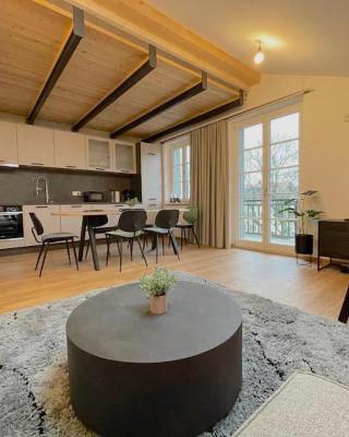 Gmunder Premium Dachgeschoss-Apartments