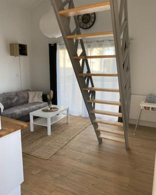 Logement avec mezzanine