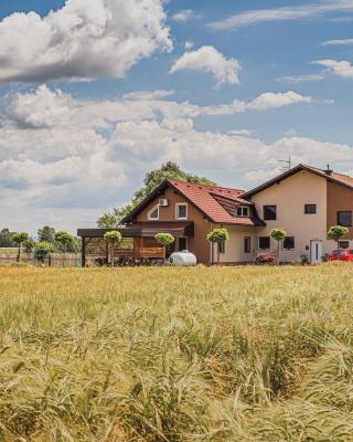 Lux Living Apartments BUDIČ near Terme Čatež