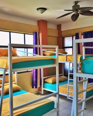 Sandy Toes Hostel