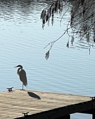 Kingwood Cottage - 10 mins from IAH - Lake Front