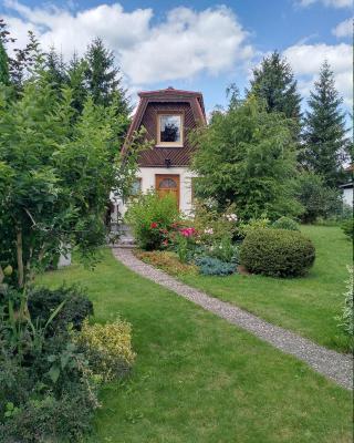 Finnhütte Tanne