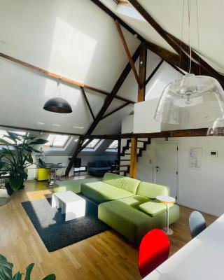 Spacious Loft in the Historical Centre