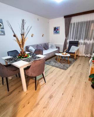 Apartmani "Vila Jelena" Arandjelovac