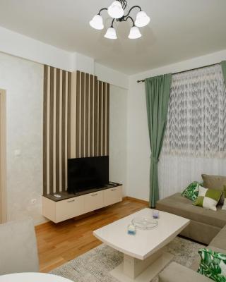 Apartman Niksic-Maksim