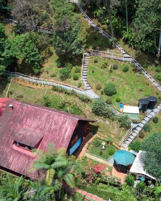 Bosque de Niebla Birding & Nature