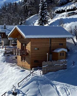 Chalet , Thyon Les Collons, 4 Vallées