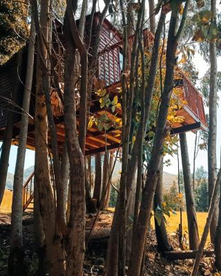 Casa en el Árbol Guatavita