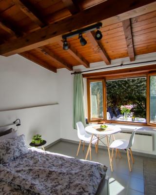 Rustico al Sole - Just renewed 1bedroom home in Ronco sopra Ascona