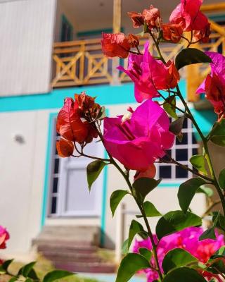 Colorful Garden House