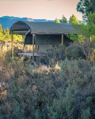 Bike Forge Glamping