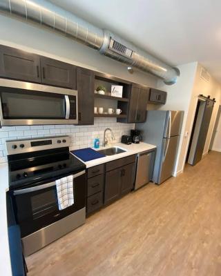 Stunning Luxury 1 bd 1 bath Apt Downtown QC