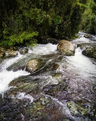 Rancho Pedra do Picú