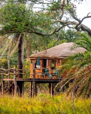 Mansa Musso Treehouse Resort