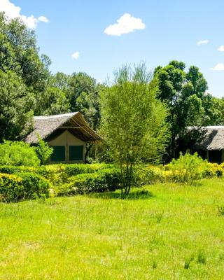 Giraffe Hills Mara Camp