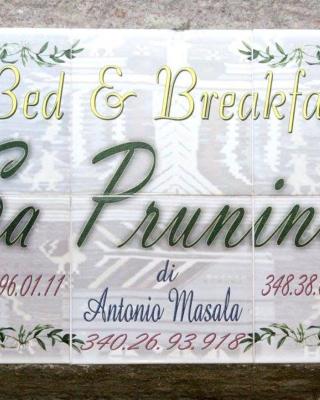 Sa Pruninca