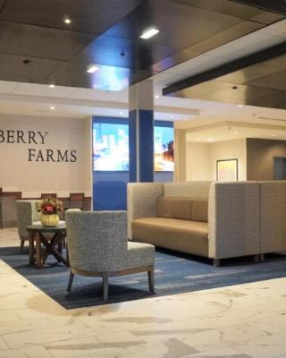 Holiday Inn Express & Suites Franklin - Berry Farms, an IHG Hotel