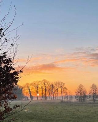 Boerderij De Boshoeve