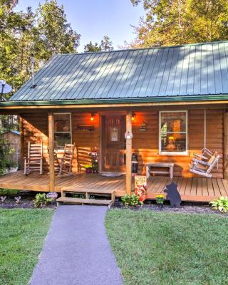 Pet-Friendly Cosby Log Cabin with Backyard and Porch!