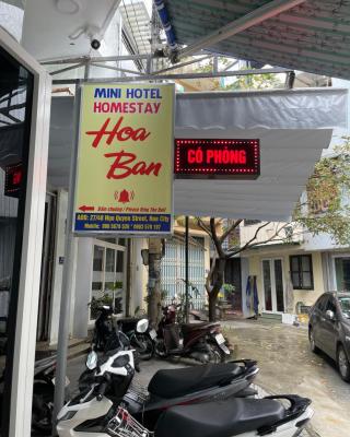 Hoa ban Homestay