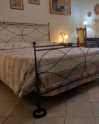 Cisanello Room Rent