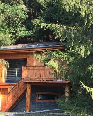 Chalet dans les Arbres