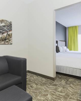 SpringHill Suites by Marriott Austin Parmer/Tech Ridge