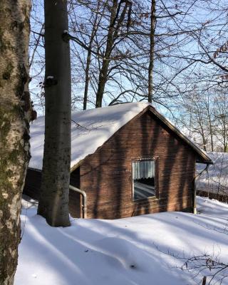Schwedische Winter Hütte unter Buchen