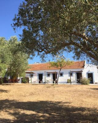 Casas na Vinha - Monte da Casteleja, Wine Estate - Eco Turismo Rural