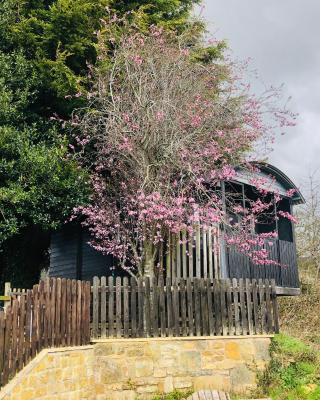 The Cherry Tree Gypsy Wagon