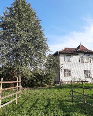 Rivr House Bucovina