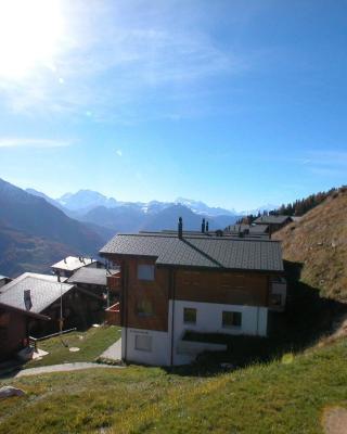 Ambiente Bettmeralp | A10