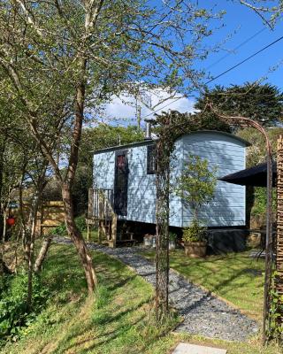 Tides Reach, Deluxe Shepherds hut, 100m from the Beach