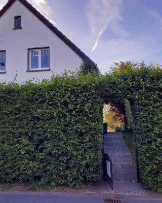 Gemütliches Landhaus in der Eifel, Freilinger See