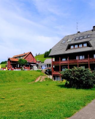 Hotel Sonnenmatte Titisee B und B nahe Badeparadies