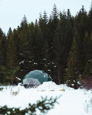 Golden Circle Domes - Glamping Experience