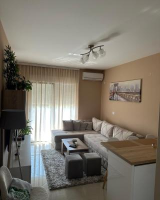 Apartman DVA SRCA