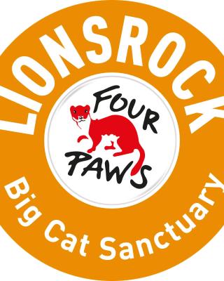 LIONSROCK Big Cat Sanctuary