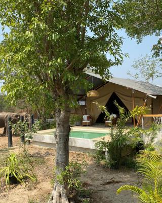 Elephant View Camp