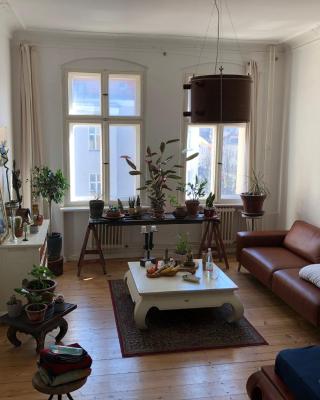 heller großer jugendstil altbau in berlin tempelhof