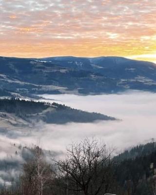 Cabana Bucuria Munților